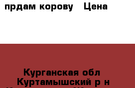 прдам корову › Цена ­ 43 000 - Курганская обл., Куртамышский р-н, Куртамыш г. Животные и растения » Другие животные   